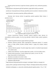 Komercinių bankų analizė 11 puslapis