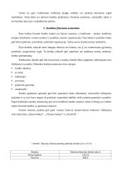 Komercinių bankų analizė 12 puslapis