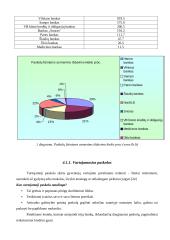 Komercinių bankų analizė 13 puslapis