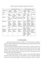 Komercinių bankų analizė 14 puslapis