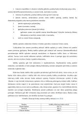 Komercinių bankų analizė 16 puslapis