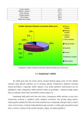 Komercinių bankų analizė 17 puslapis