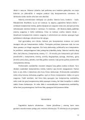 Kompiuterinių nusikaltimų subjektai 12 puslapis