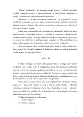 Kompiuterinių nusikaltimų subjektai 14 puslapis