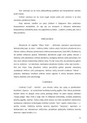 Kompiuterinių nusikaltimų subjektai 15 puslapis