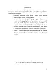 Kompiuterinių nusikaltimų subjektai 16 puslapis