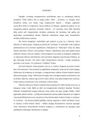 Kompiuterinių nusikaltimų subjektai 9 puslapis