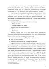 Kompiuterinių nusikaltimų subjektai 10 puslapis