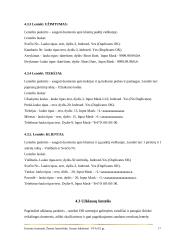 Kompiuterinių tinklų klasifikavimas pagal topologoją 17 puslapis