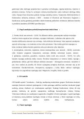 Kompiuterinių tinklų klasifikavimas pagal topologoją 3 puslapis