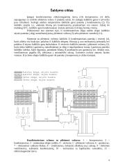 Kondicionavimo sistema 4 puslapis