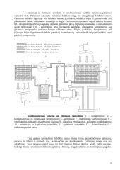Kondicionavimo sistema 5 puslapis