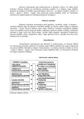 Kondicionavimo sistema 8 puslapis