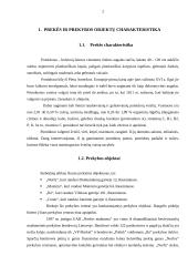 Produkto kainos analizė: pomidorai 2 puslapis