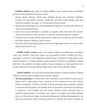 Konfliktas: priežastys, eiga ir pasekmės 14 puslapis