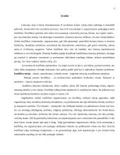 Konfliktas: priežastys, eiga ir pasekmės 3 puslapis