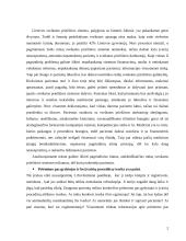Straipsnio "Smulkmena ar problema?" analizė pagal SPIRAL modelį 2 puslapis