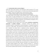 Straipsnio "Smulkmena ar problema?" analizė pagal SPIRAL modelį 4 puslapis