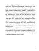 Straipsnio "Smulkmena ar problema?" analizė pagal SPIRAL modelį 5 puslapis