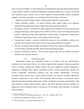 Konfliktų valdymas organizacijose 16 puslapis