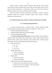 Asmenų, turinčių priklausomybę nuo alkoholio, socialinių paslaugų poreikis: Panevėžio psichikos sveikatos centras (PSC) 20 puslapis