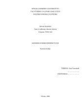 Konservatizmo perspektyvos