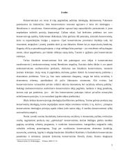 Konservatizmo perspektyvos 3 puslapis