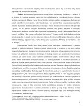 Konservatizmo perspektyvos 9 puslapis