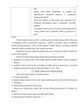 Banko finansinis tarpininkavimas ir rizika 11 puslapis