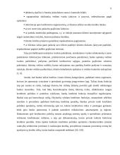 Banko finansinis tarpininkavimas ir rizika 17 puslapis