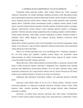 Banko finansinis tarpininkavimas ir rizika 19 puslapis