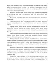 Banko finansinis tarpininkavimas ir rizika 20 puslapis