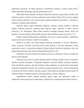 Banko finansinis tarpininkavimas ir rizika 6 puslapis
