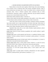 Banko finansinis tarpininkavimas ir rizika 8 puslapis
