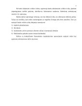 Banko finansinis tarpininkavimas ir rizika 9 puslapis