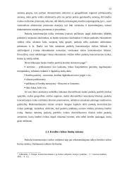 Kreditinės rizikos ir kreditinių rizikų valdymas: praktika, problemos ir sprendimo būdai 12 puslapis