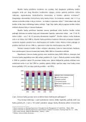 Kreditinės rizikos ir kreditinių rizikų valdymas: praktika, problemos ir sprendimo būdai 19 puslapis