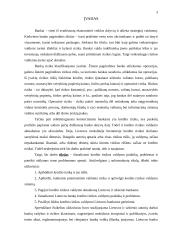 Kreditinės rizikos ir kreditinių rizikų valdymas: praktika, problemos ir sprendimo būdai 3 puslapis