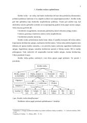 Kreditinės rizikos ir kreditinių rizikų valdymas: praktika, problemos ir sprendimo būdai 5 puslapis