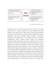 Bendruomeniška mokykla 6 puslapis