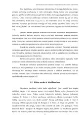 Darbo užmokesčio įtakos produkcijos savikainai vertinimas: UAB "Statyba" 13 puslapis