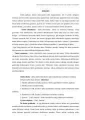 Darbo užmokesčio įtakos produkcijos savikainai vertinimas: UAB "Statyba" 10 puslapis