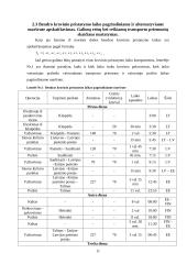 Krovinio vežimo organizavimas 9 puslapis