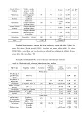 Krovinio vežimo organizavimas 10 puslapis