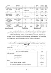 Krovinio vežimo organizavimas 11 puslapis