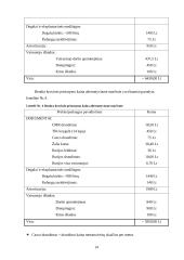 Krovinio vežimo organizavimas 12 puslapis