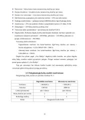 Krovinio vežimo organizavimas 13 puslapis