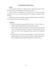 Krovinio vežimo organizavimas 14 puslapis