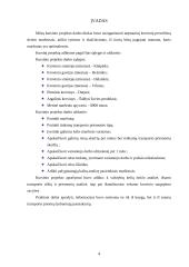 Krovinio vežimo organizavimas 2 puslapis