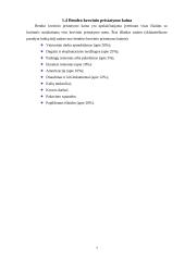 Krovinio vežimo organizavimas 5 puslapis